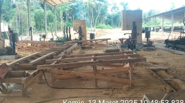 Kegiatan operasional pabrik veneer bahan baku plywood milik PT Prima Melak Industri (PMI) di kawasan Areng, Kecamatan Bentian Besar, Kabupaten Kutai Barat.